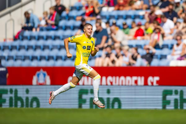 Remo Gotfredsen Grgic lämnar FFF efter tre år